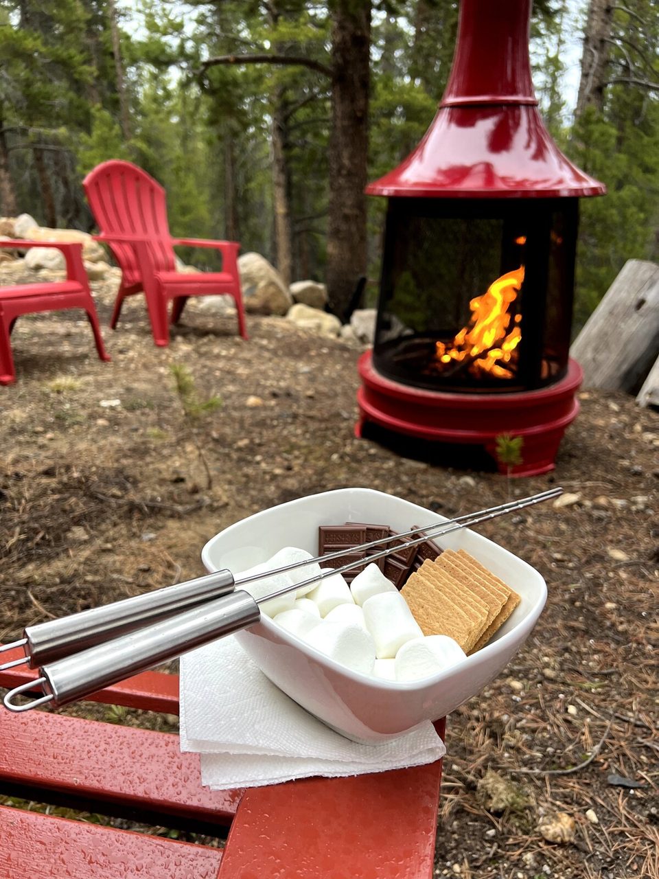 Fire pit and s'mores under the pines
