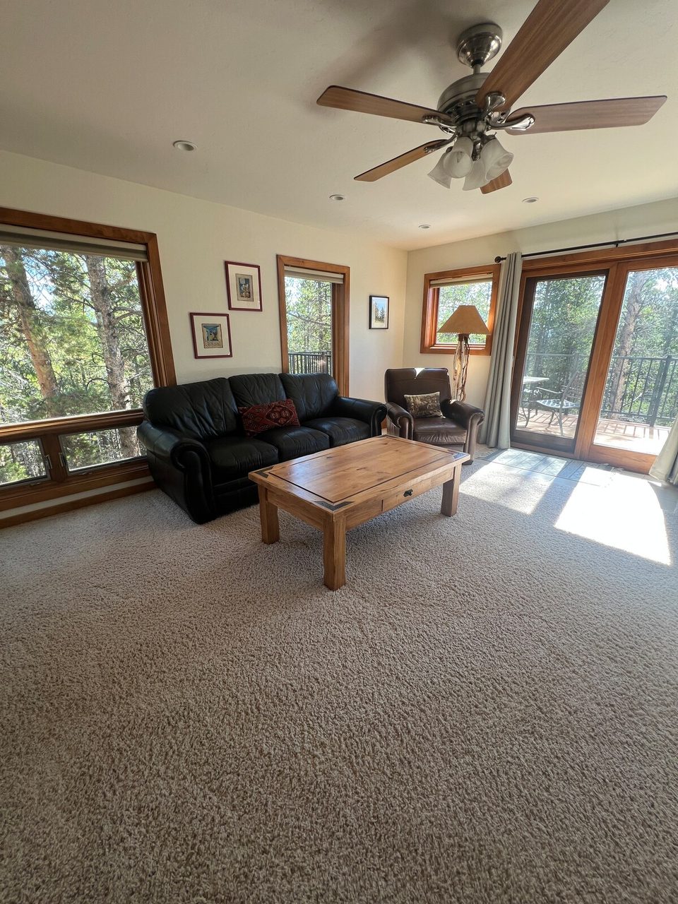 Living room with mountain windows