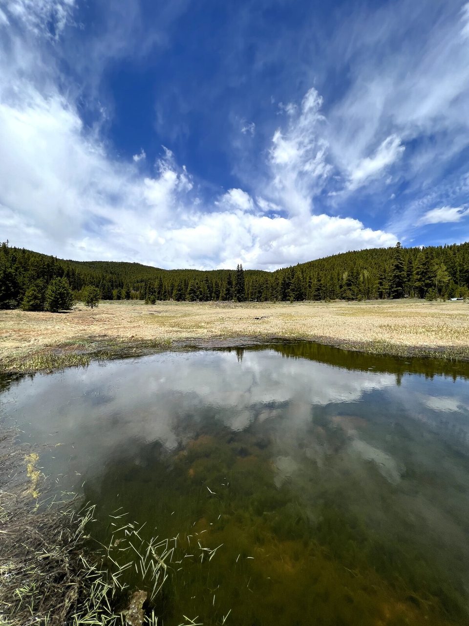 Turquoise Lake, minutes from the ranch