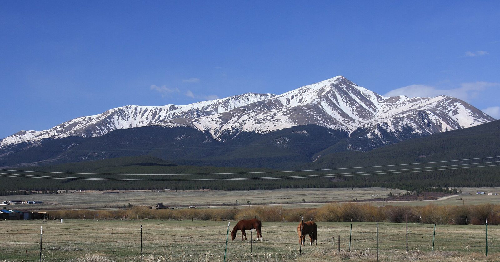 Horses grazing below snow-covered Mount Elbert, the highest peak in Colorado